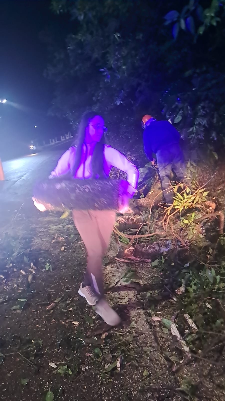 Un árbol cayó sobre calle Alemania de Eldorado 3